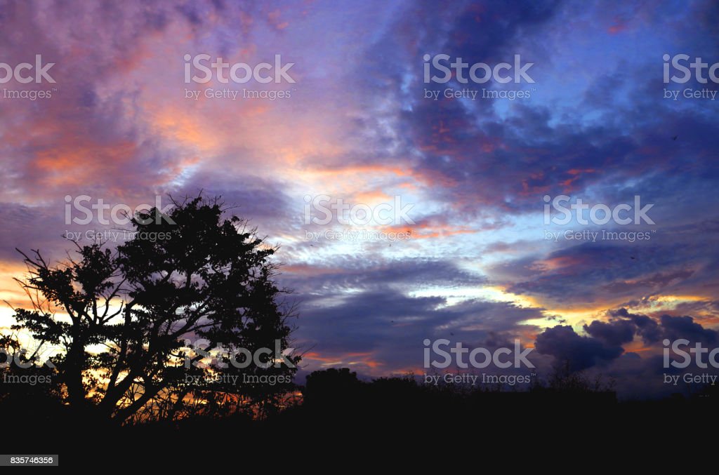 Detail Gambar Pemandangan Senja Yg Indah Nomer 48