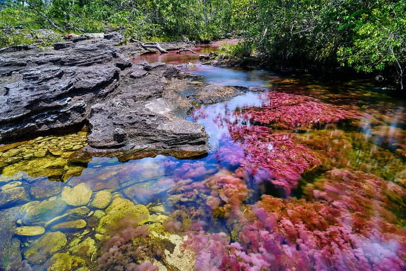 Detail Gambar Pemandangan Sungai Indah Nomer 23