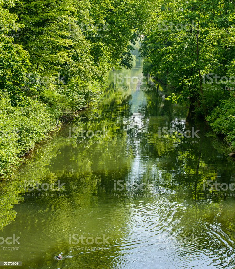 Detail Gambar Pemandangan Sungai Indah Nomer 50