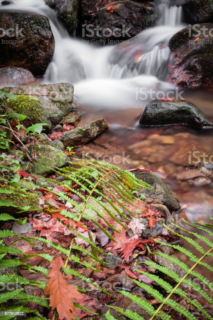 Detail Gambar Pemandangan Sungai Indah Nomer 53