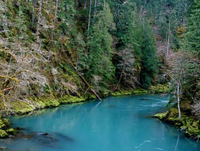 Detail Gambar Pemandangan Sungai Yang Indah Nomer 46