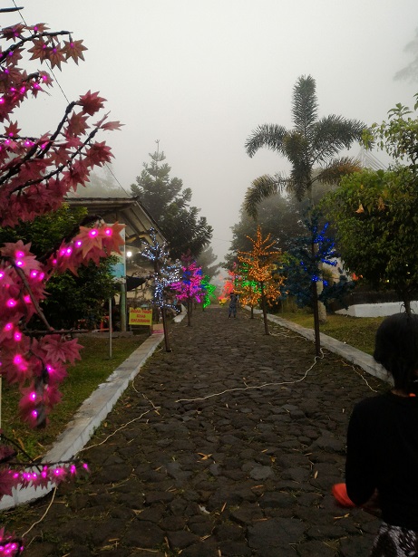 Detail Gambar Pemandangan Taman Lampion Nomer 50