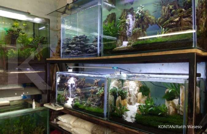 Detail Gambar Pemandangan Untuk Aquarium Nomer 29