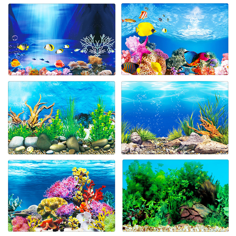 Detail Gambar Pemandangan Untuk Aquarium Nomer 8