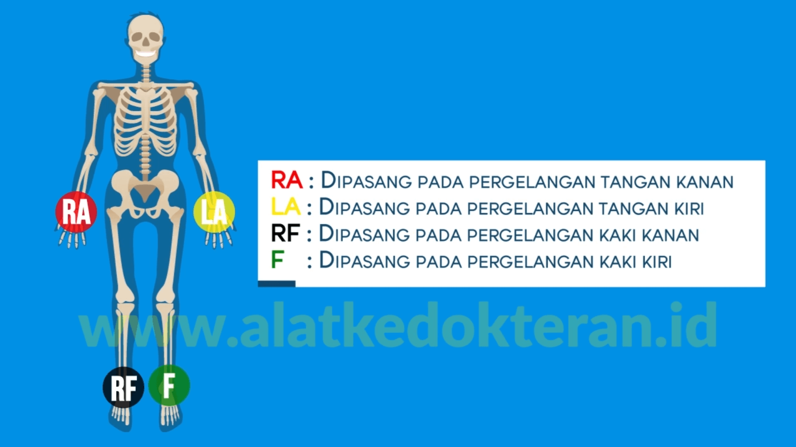 Detail Gambar Pemasangan Ekg Nomer 20