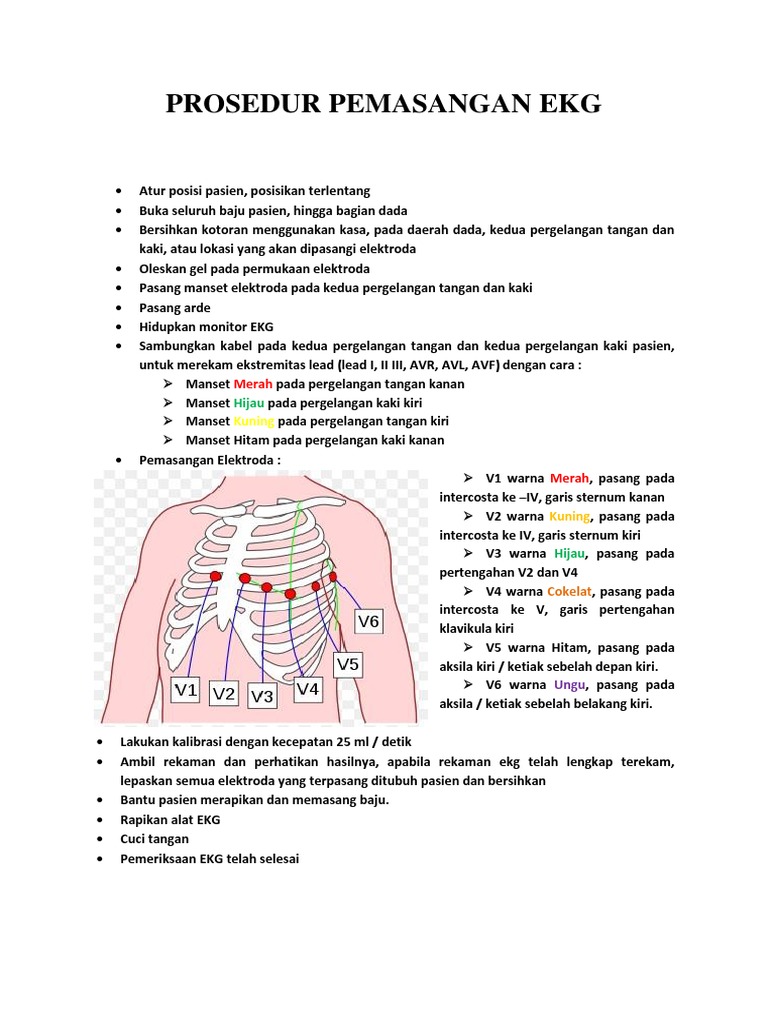 Detail Gambar Pemasangan Ekg Nomer 22