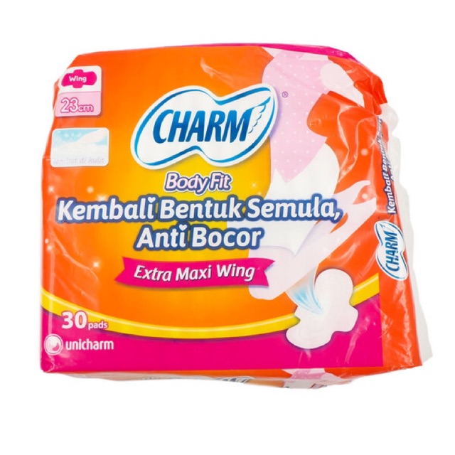 Detail Gambar Pembalut Charm Sayap Nomer 15