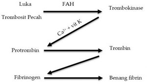 Detail Gambar Pembekuan Darah Nomer 7