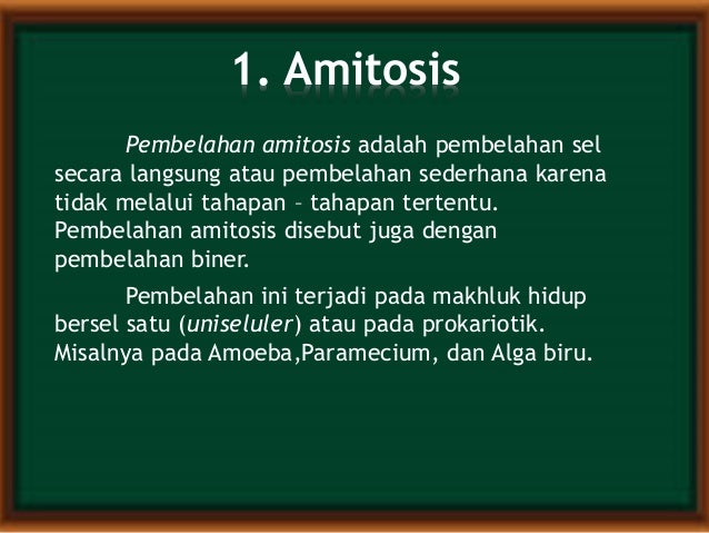 Detail Gambar Pembelahan Amitosis Nomer 57