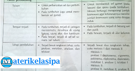 Detail Gambar Pembelahan Mitosis Dan Meiosis Nomer 24