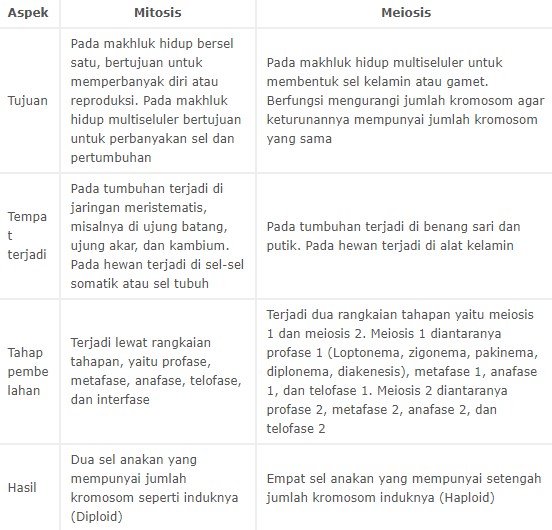 Detail Gambar Pembelahan Mitosis Dan Meiosis Nomer 38