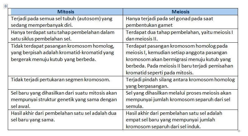 Detail Gambar Pembelahan Mitosis Dan Meiosis Nomer 47