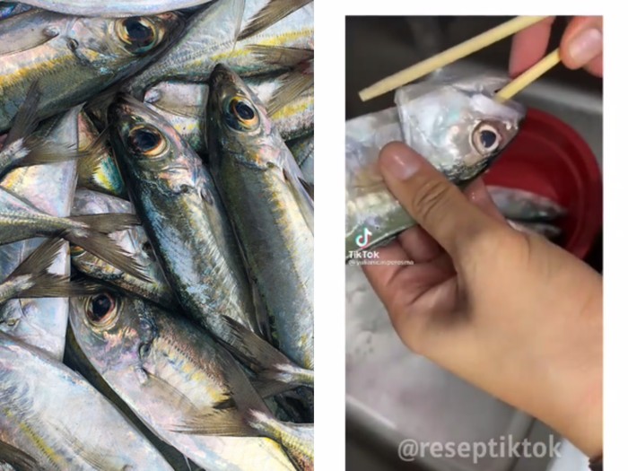 Detail Gambar Pembersihan Perut Ikan Nomer 12