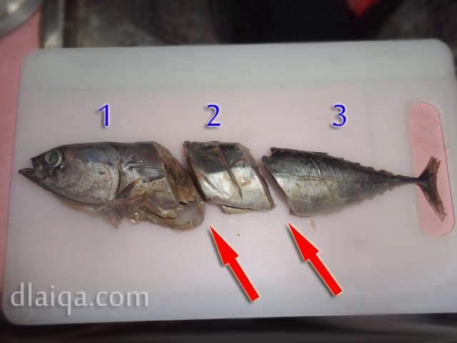 Detail Gambar Pembersihan Perut Ikan Nomer 43