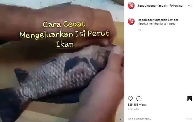 Detail Gambar Pembersihan Perut Ikan Nomer 46