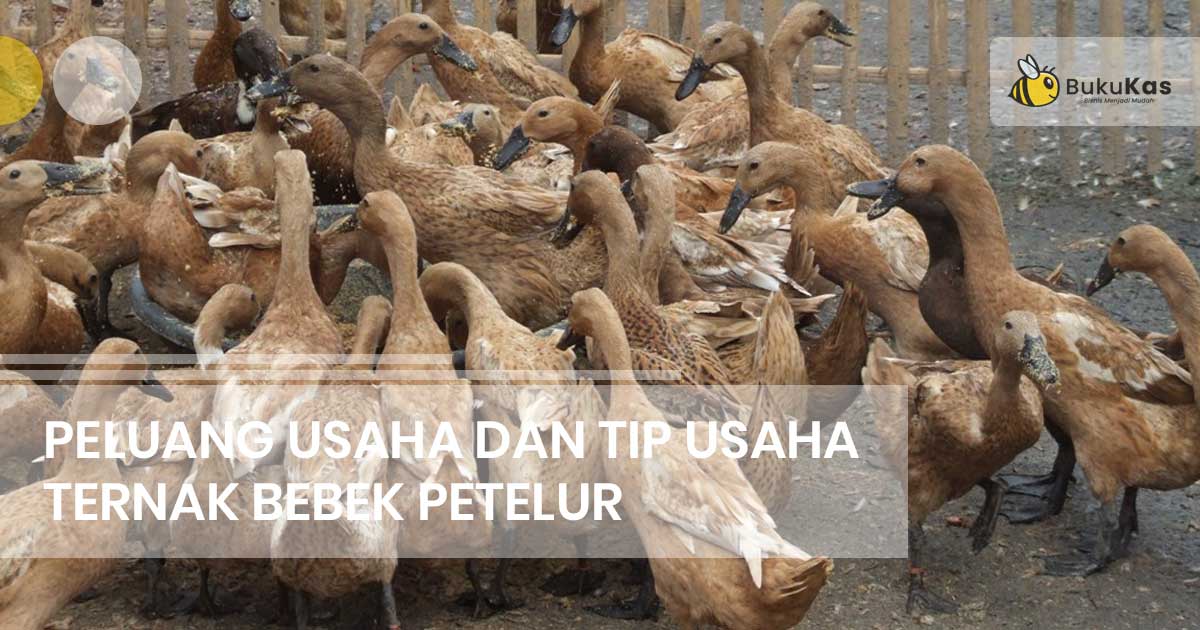 Detail Gambar Pembibitan Bebek Petelur Nomer 43