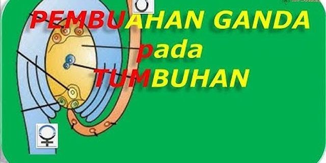 Download Gambar Pembuahan Tunggal Nomer 31