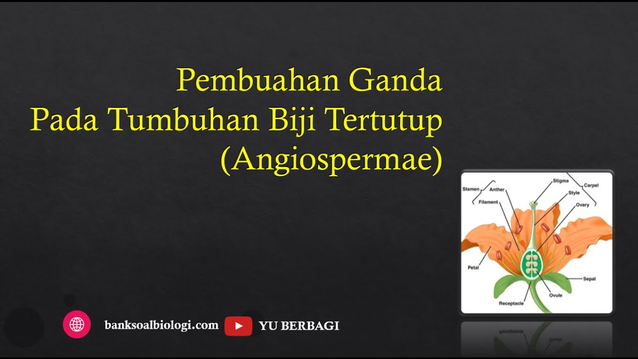 Detail Gambar Pembuahan Tunggal Nomer 48