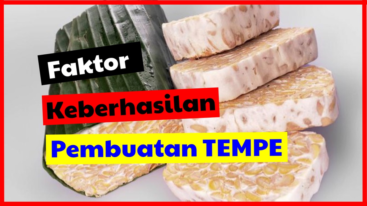 Detail Gambar Pembuatan Tempe Nomer 34