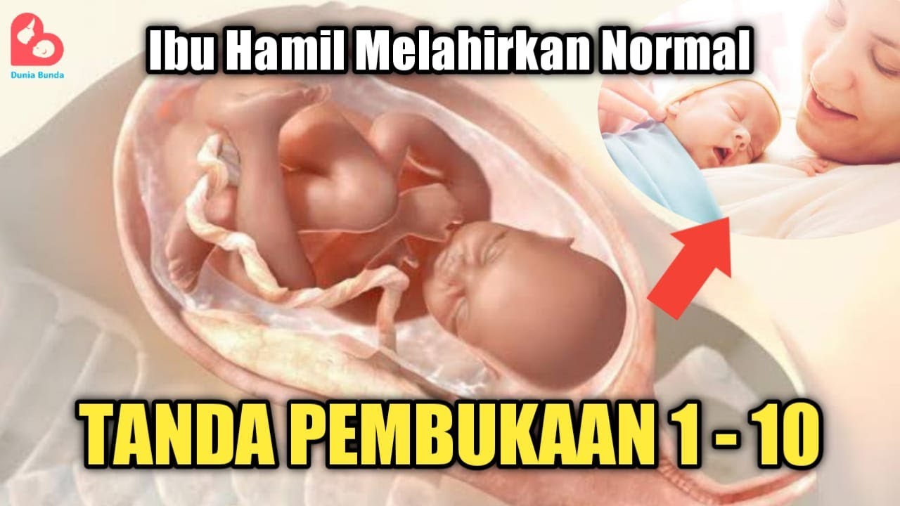 Detail Gambar Pembukaan 1 Sampai 10 Nomer 34