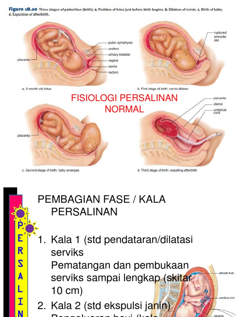 Detail Gambar Pembukaan Persalinan Nomer 34