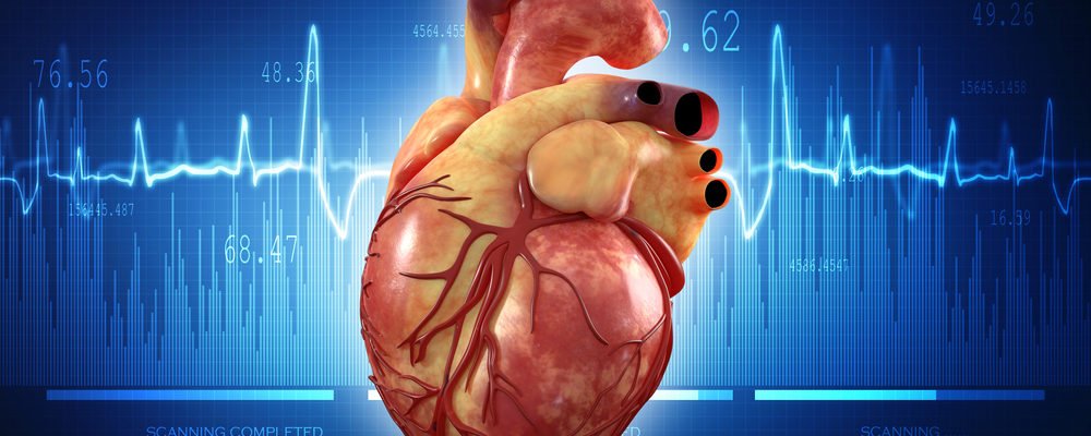 Detail Gambar Pembuluh Darah Jantung Nomer 29