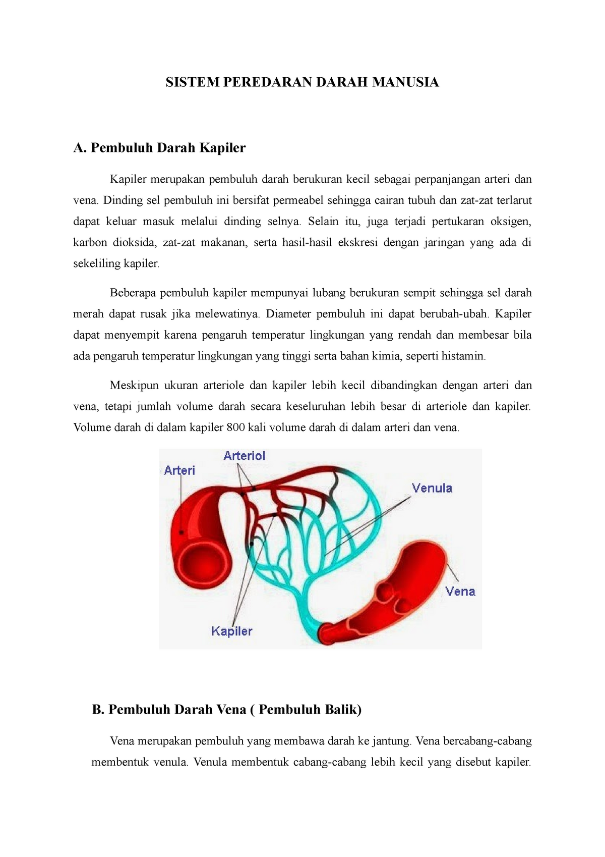 Detail Gambar Pembuluh Kapiler Nomer 21