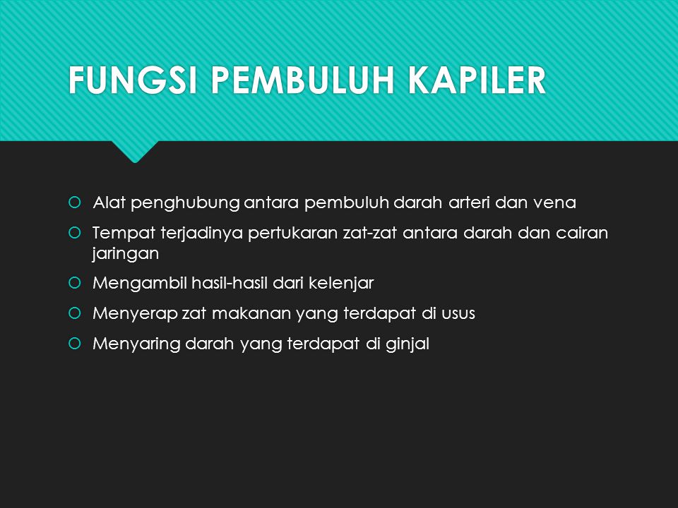 Detail Gambar Pembuluh Kapiler Nomer 23