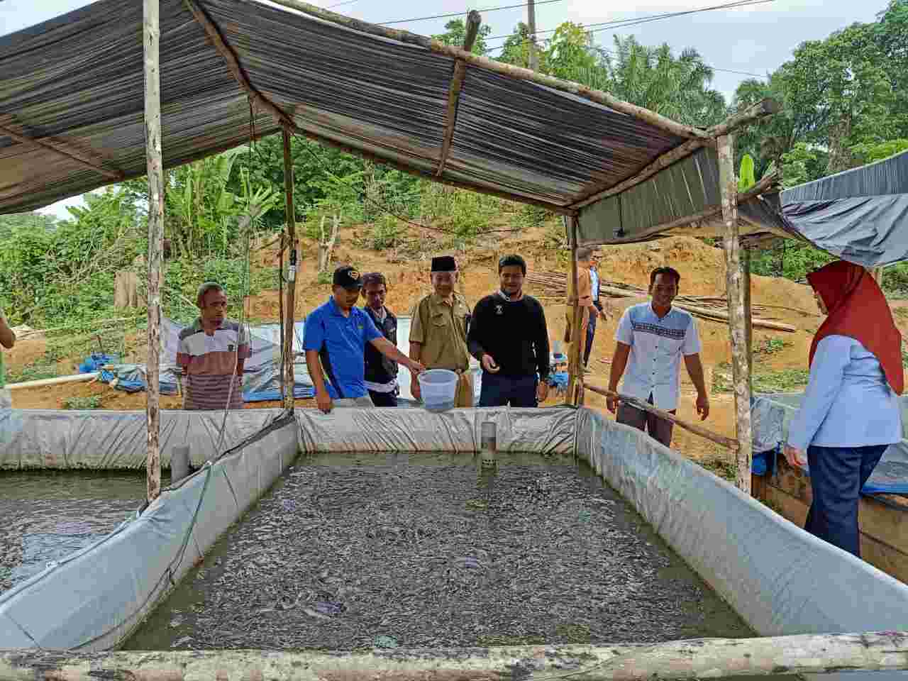 Detail Gambar Pemeiharaan Ikan Diterpal Nomer 18