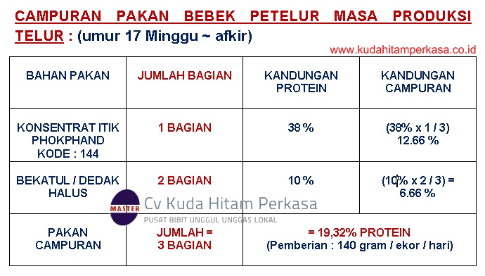 Detail Gambar Pemeliharaan Pakan Bebek Petelur Nomer 25