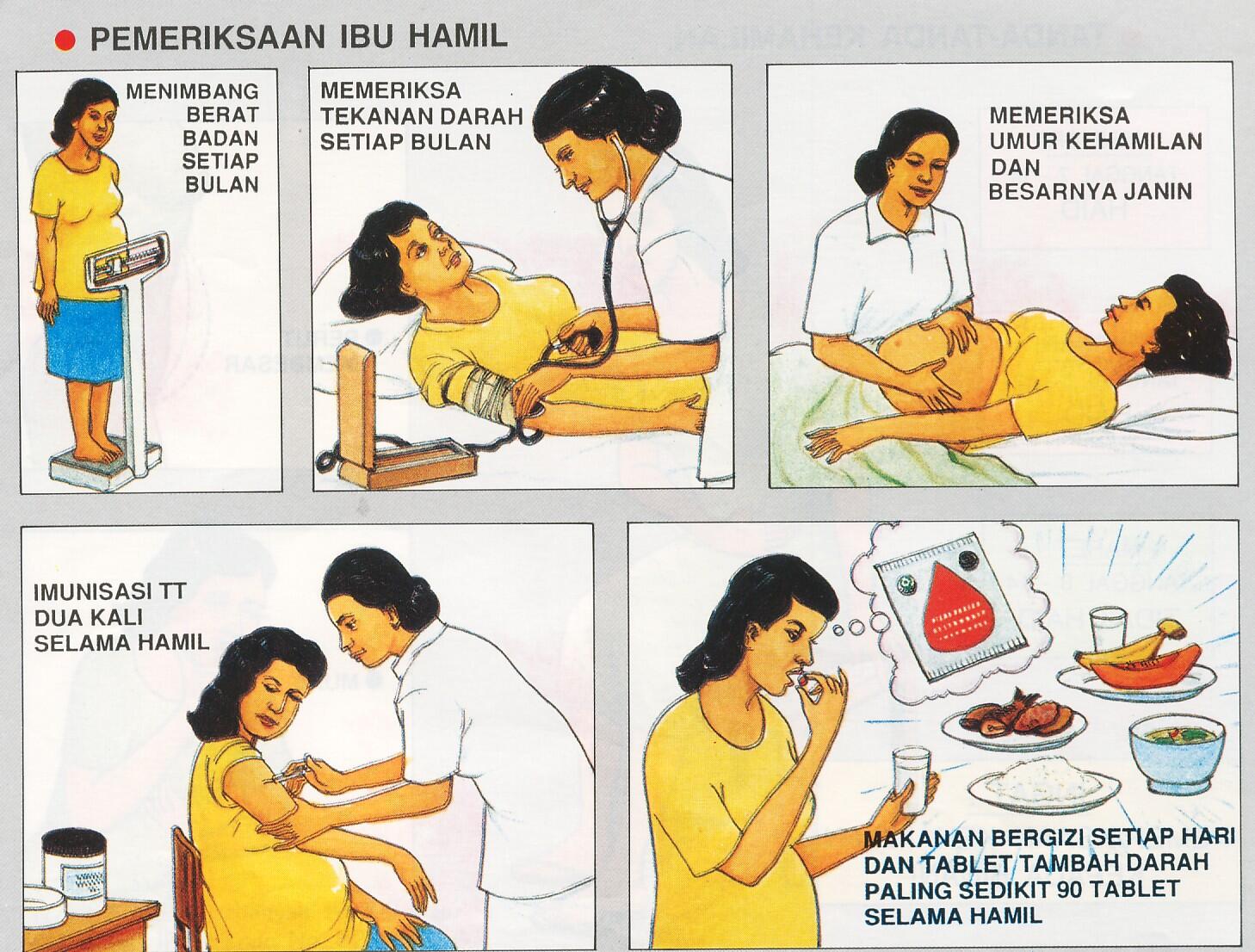 Detail Gambar Pemeriksaan Ibu Hamil Nomer 13