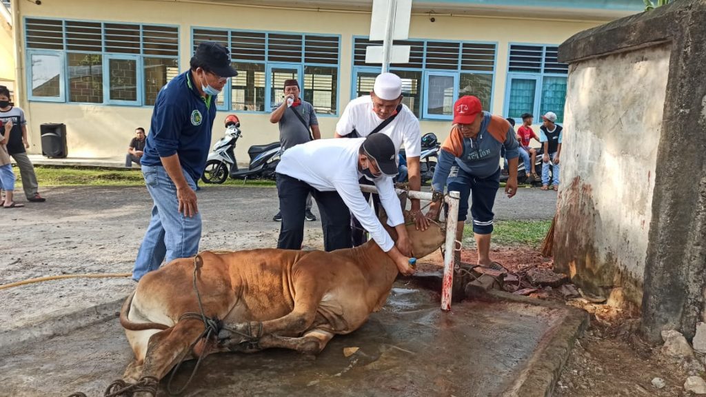 Detail Gambar Pemotongan Hewan Kurban Nomer 27