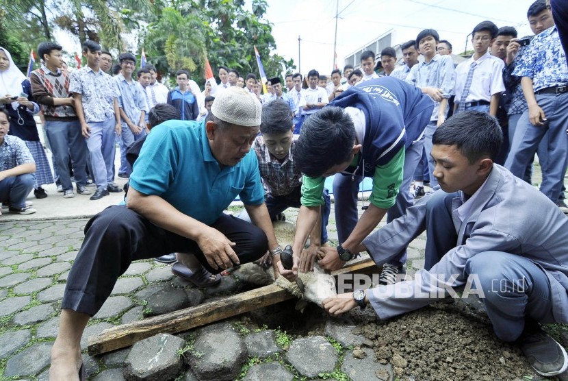 Detail Gambar Pemotongan Hewan Kurban Nomer 45