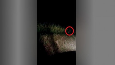 Detail Gambar Penampakan Hantu Seram Nomer 31