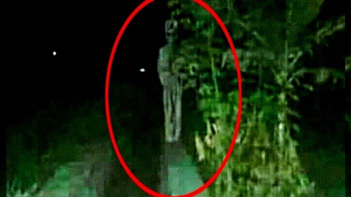 Detail Gambar Penampakan Pocong Nomer 21