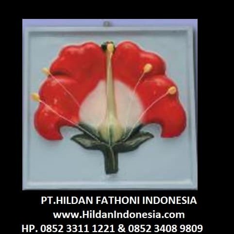 Detail Gambar Penampang Bunga Nomer 18