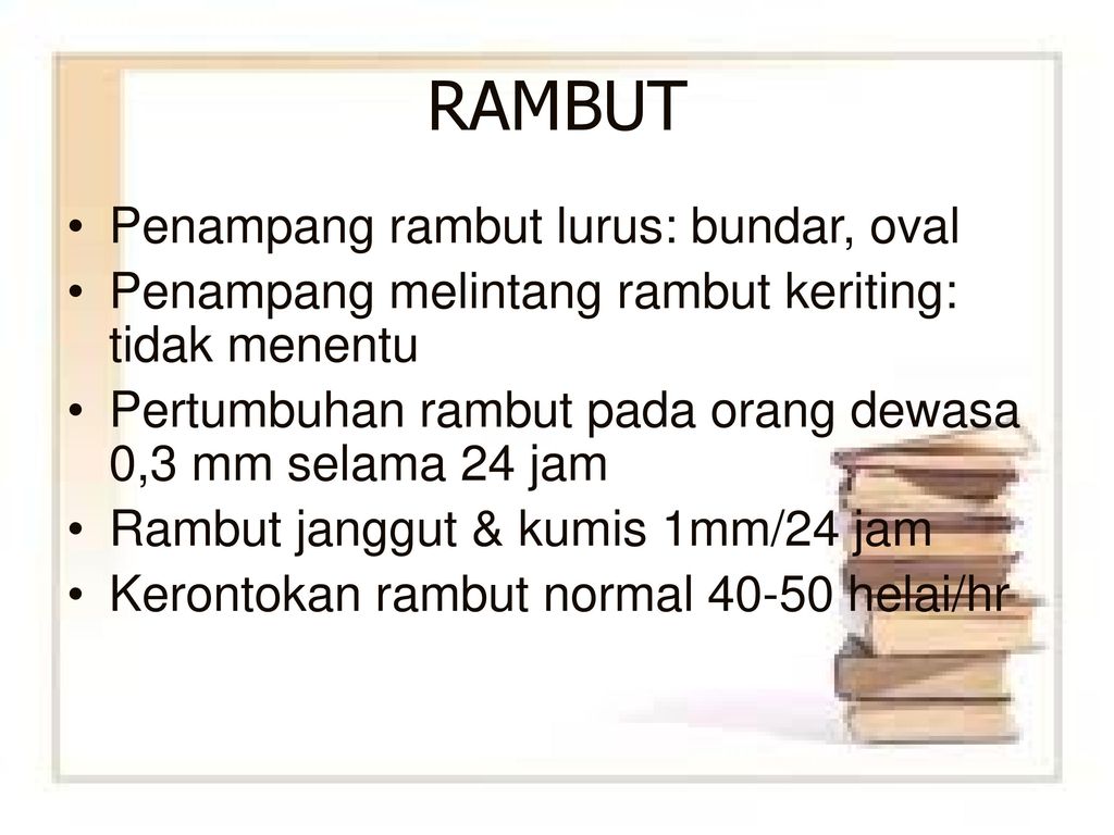 Detail Gambar Penampang Rambut Nomer 24