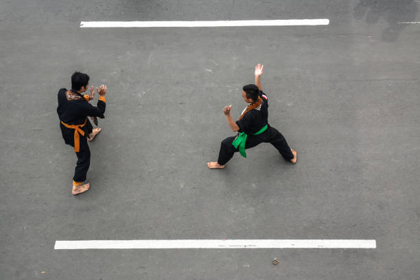 Detail Gambar Pencak Silat Nomer 49