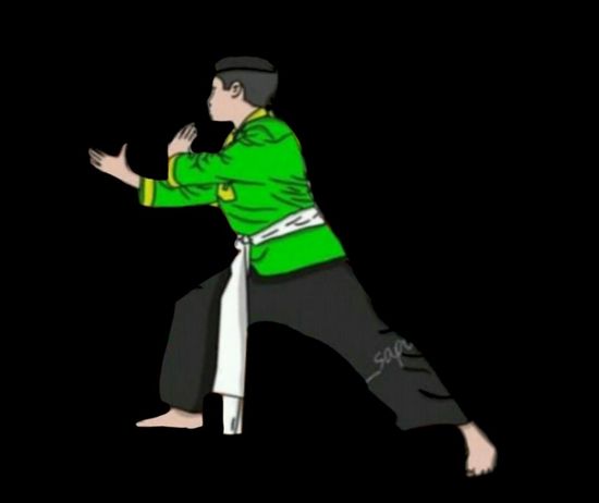 Detail Gambar Pencak Silat Bunga Islam Nomer 20