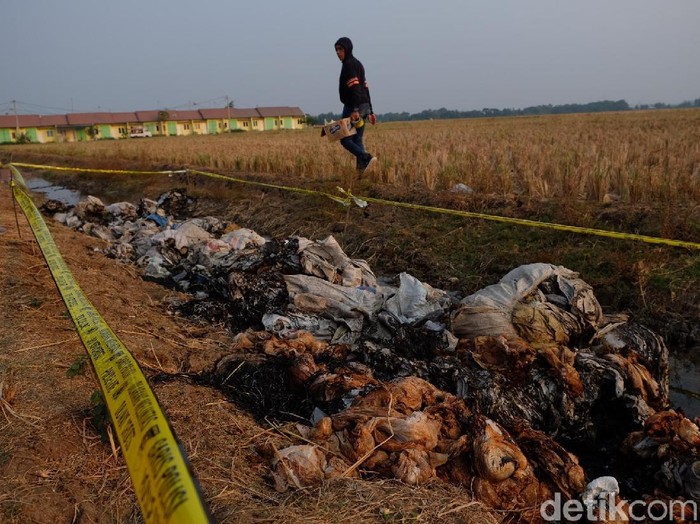 Detail Gambar Pencemaran Lingkungan Di Indonesia Nomer 26