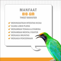 Detail Gambar Pencernaan Burung Nomer 34