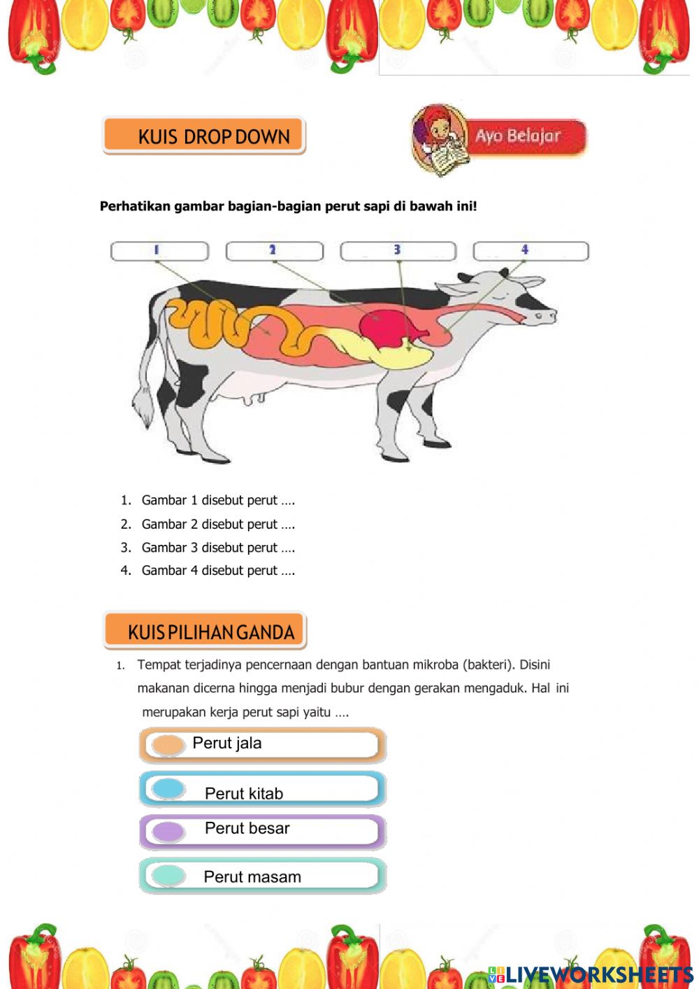 Detail Gambar Pencernaan Hewan Nomer 24