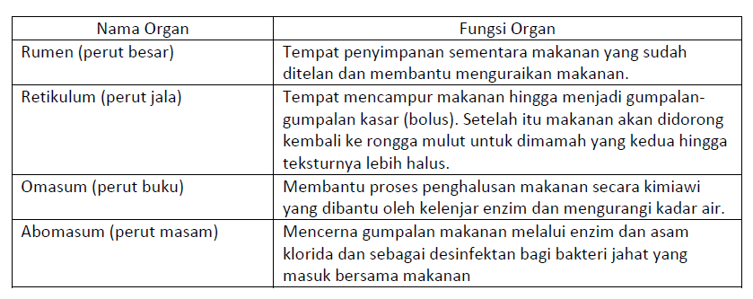 Detail Gambar Pencernaan Hewan Nomer 31