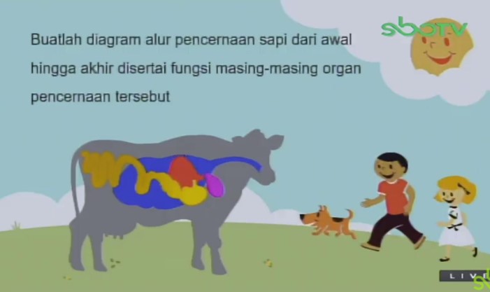 Detail Gambar Pencernaan Sapi Nomer 51