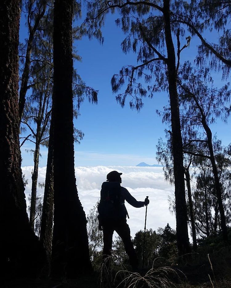 Detail Gambar Pendaki Gunung Siluet Nomer 31