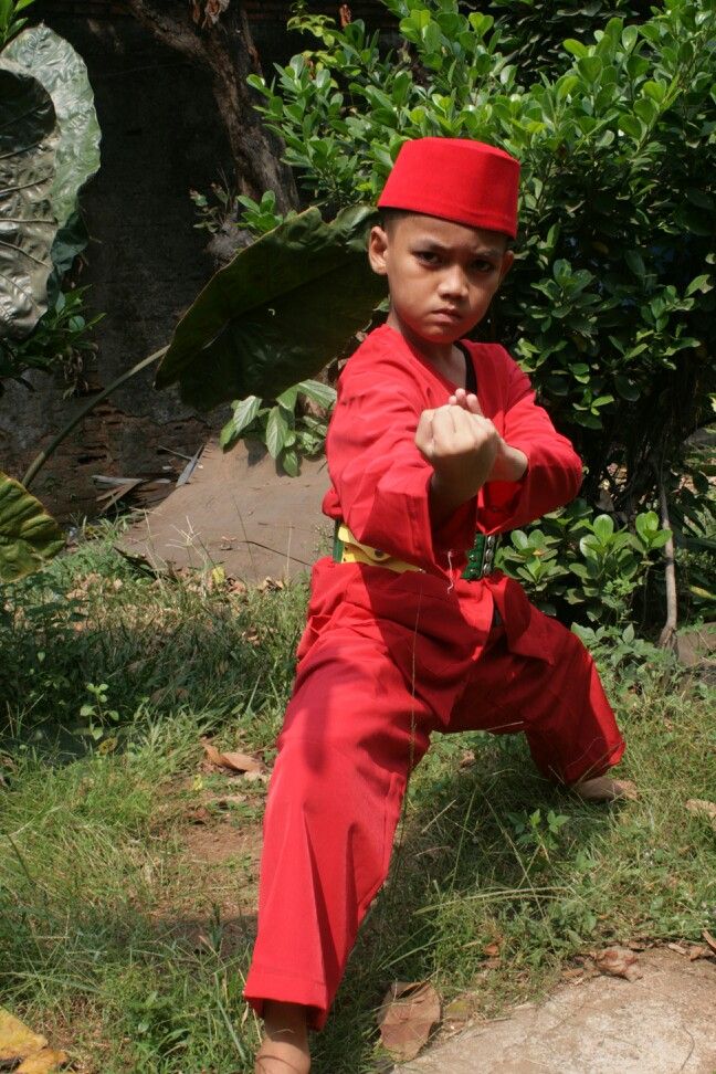 Detail Gambar Pendekar Silat Nomer 10