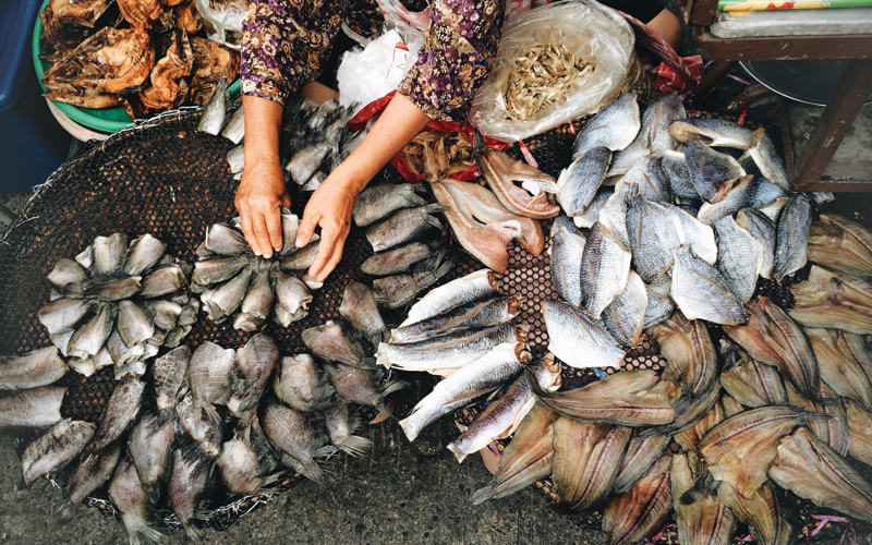 Detail Gambar Pengeringan Ikan Menggunakan Matahari Nomer 13