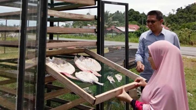 Detail Gambar Pengeringan Ikan Menggunakan Matahari Nomer 3