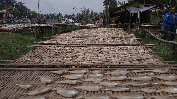 Detail Gambar Pengeringan Ikan Menggunakan Matahari Nomer 31