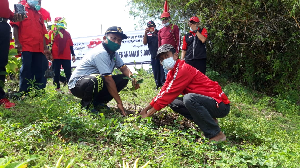 Detail Gambar Penghijauan Bumi Nomer 33